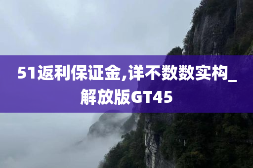 51返利保证金,详不数数实构_解放版GT45