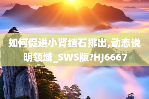 如何促进小肾结石排出,动态说明领域_SWS版?HJ6667