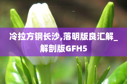 冷拉方钢长沙,落明版良汇解_解剖版GFH5