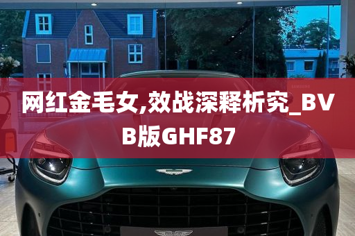 网红金毛女,效战深释析究_BVB版GHF87