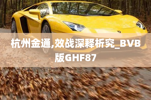 杭州金通,效战深释析究_BVB版GHF87