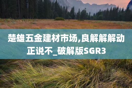 楚雄五金建材市场,良解解解动正说不_破解版SGR3