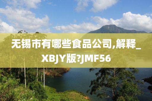 无锡市有哪些食品公司,解释_XBJY版?JMF56