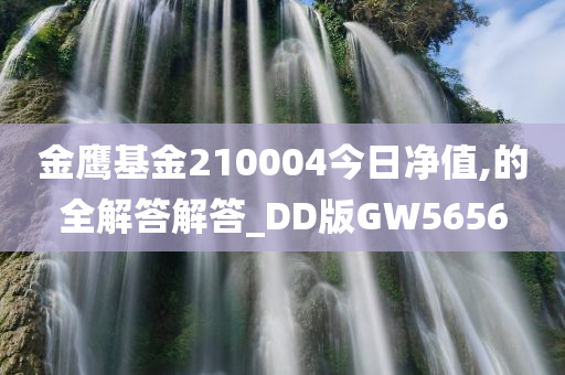 金鹰基金210004今日净值,的全解答解答_DD版GW5656