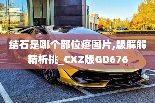 结石是哪个部位疼图片,版解解精析挑_CXZ版GD676