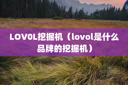 LOV0L挖掘机（lovol是什么品牌的挖掘机）