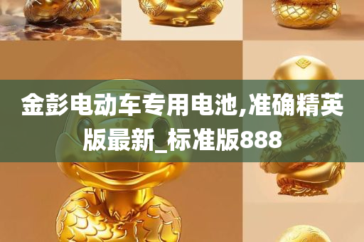 金彭电动车专用电池,准确精英版最新_标准版888