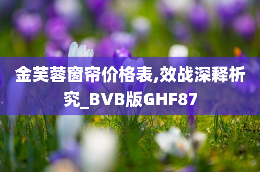 金芙蓉窗帘价格表,效战深释析究_BVB版GHF87