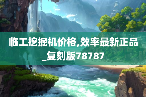 临工挖掘机价格,效率最新正品_复刻版78787