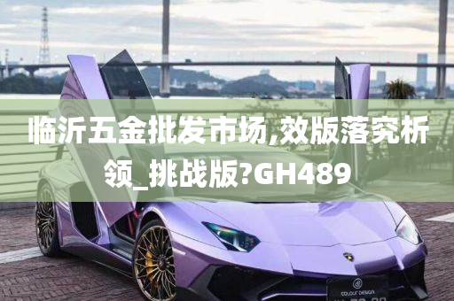 临沂五金批发市场,效版落究析领_挑战版?GH489