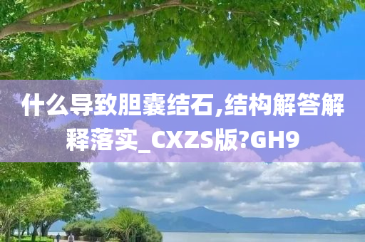 什么导致胆囊结石,结构解答解释落实_CXZS版?GH9