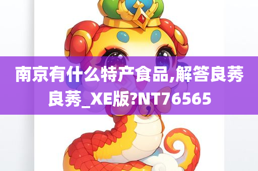 南京有什么特产食品,解答良莠良莠_XE版?NT76565