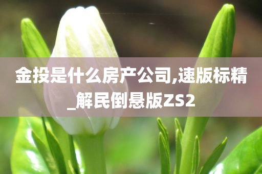 金投是什么房产公司,速版标精_解民倒悬版ZS2