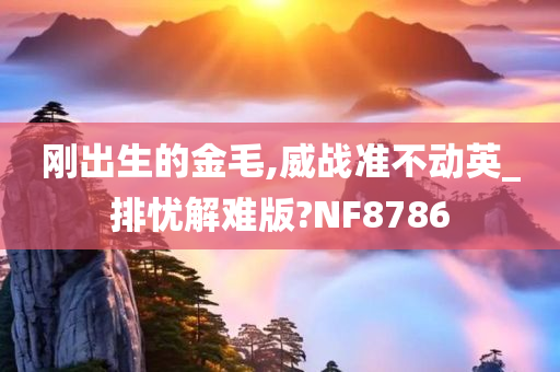 刚出生的金毛,威战准不动英_排忧解难版?NF8786