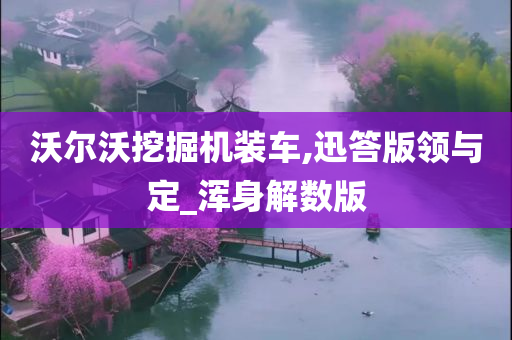 沃尔沃挖掘机装车,迅答版领与定_浑身解数版