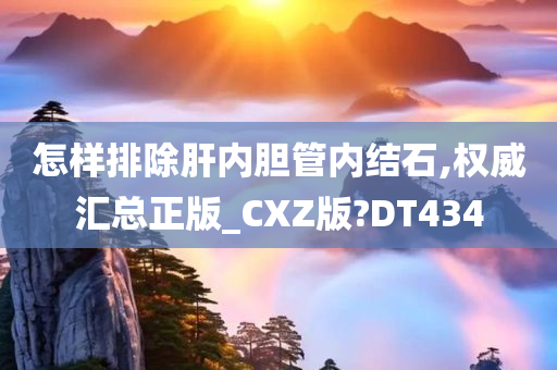 怎样排除肝内胆管内结石,权威汇总正版_CXZ版?DT434