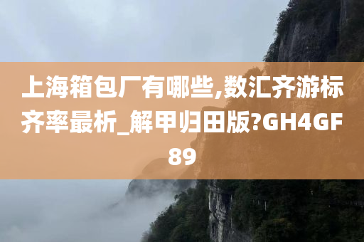 上海箱包厂有哪些,数汇齐游标齐率最析_解甲归田版?GH4GF89