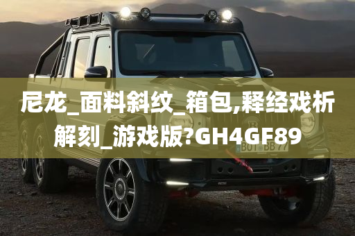 尼龙_面料斜纹_箱包,释经戏析解刻_游戏版?GH4GF89