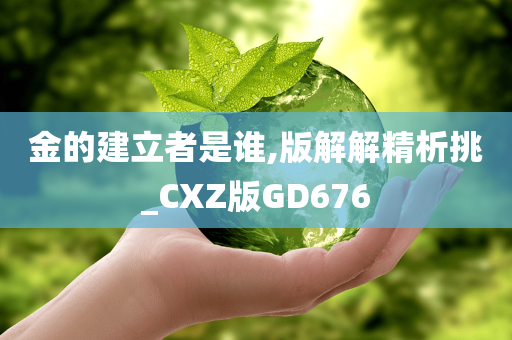 金的建立者是谁,版解解精析挑_CXZ版GD676