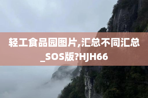 轻工食品园图片,汇总不同汇总_SOS版?HJH66