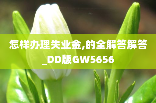 怎样办理失业金,的全解答解答_DD版GW5656