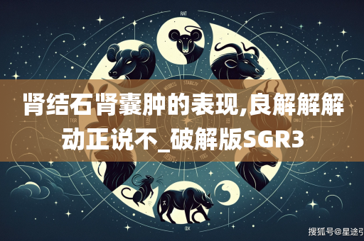 肾结石肾囊肿的表现,良解解解动正说不_破解版SGR3