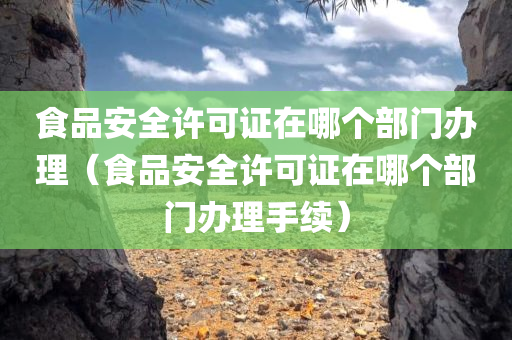 食品安全许可证在哪个部门办理（食品安全许可证在哪个部门办理手续）