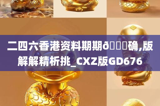 二四六香港资料期期🀄确,版解解精析挑_CXZ版GD676