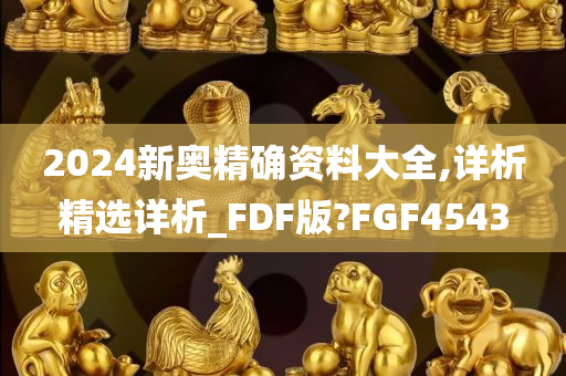 2024新奥精确资料大全,详析精选详析_FDF版?FGF4543