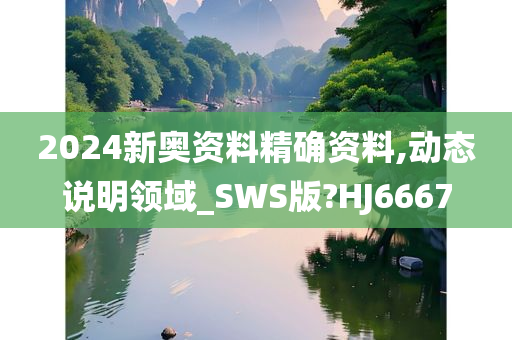 2024新奥资料精确资料,动态说明领域_SWS版?HJ6667