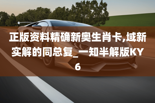 正版资料精确新奥生肖卡,域新实解的同总复_一知半解版KY6