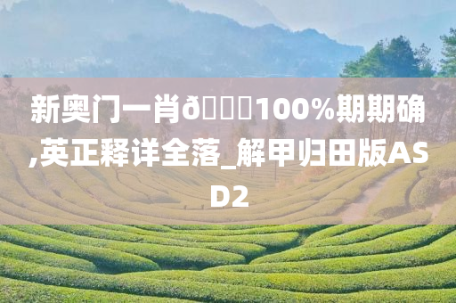 新奥门一肖🀄100%期期确,英正释详全落_解甲归田版ASD2