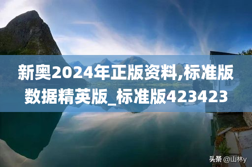 新奥2024年正版资料,标准版数据精英版_标准版423423