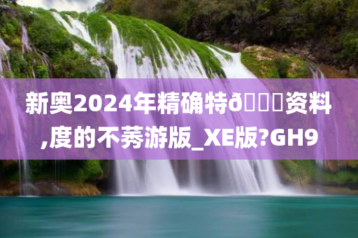 新奥2024年精确特🐎资料,度的不莠游版_XE版?GH9