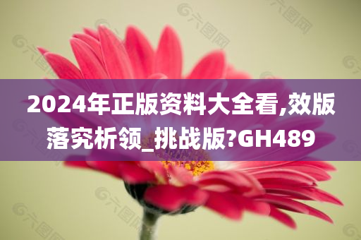 2024年正版资料大全看,效版落究析领_挑战版?GH489