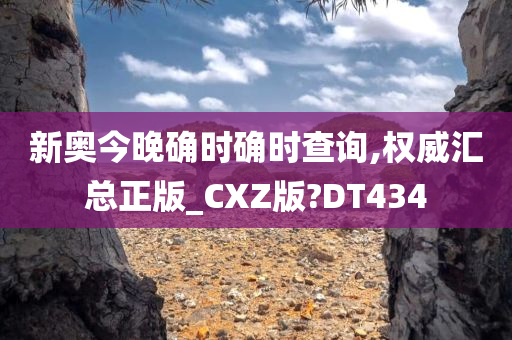 新奥今晚确时确时查询,权威汇总正版_CXZ版?DT434