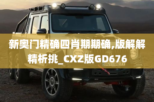 新奥门精确四肖期期确,版解解精析挑_CXZ版GD676