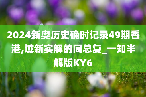 2024新奥历史确时记录49期香港,域新实解的同总复_一知半解版KY6