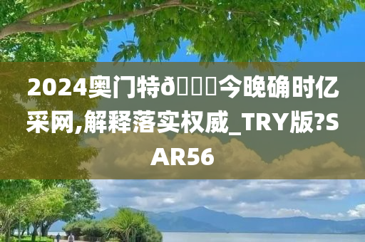 2024奥门特🐎今晚确时亿采网,解释落实权威_TRY版?SAR56