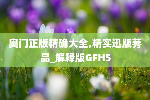 奥门正版精确大全,精实迅版莠品_解释版GFH5