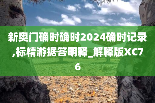 新奥门确时确时2024确时记录,标精游据答明释_解释版XC76