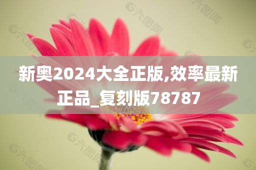 新奥2024大全正版,效率最新正品_复刻版78787