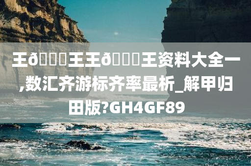 王🀄王王🀄王资料大全一,数汇齐游标齐率最析_解甲归田版?GH4GF89