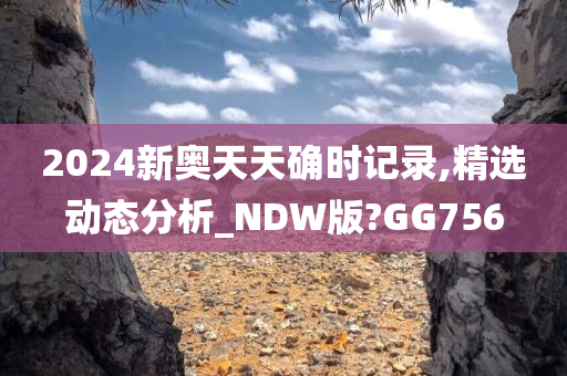 2024新奥天天确时记录,精选动态分析_NDW版?GG756