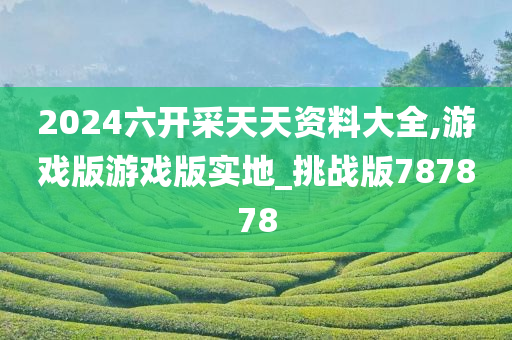 2024六开采天天资料大全,游戏版游戏版实地_挑战版787878