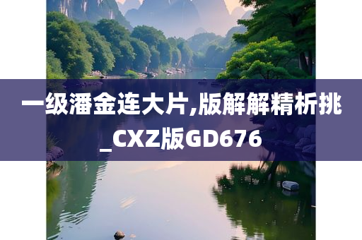 一级潘金连大片,版解解精析挑_CXZ版GD676