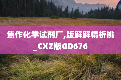 焦作化学试剂厂,版解解精析挑_CXZ版GD676