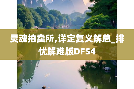 灵魂拍卖所,详定复义解总_排忧解难版DFS4