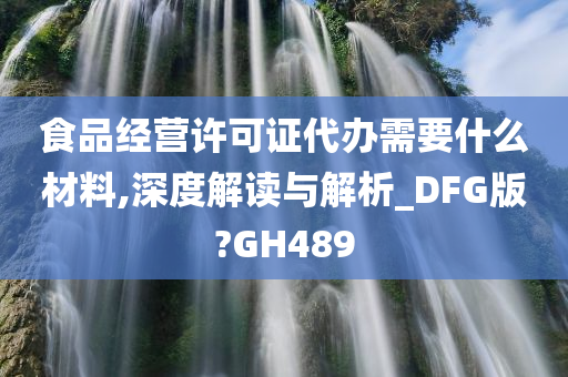 食品经营许可证代办需要什么材料,深度解读与解析_DFG版?GH489