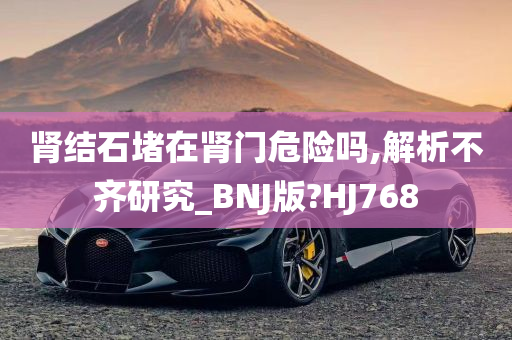 肾结石堵在肾门危险吗,解析不齐研究_BNJ版?HJ768